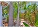 Lush backyard offering privacy with tropical plants at 3053 S Concordia Ave # A, Tampa, FL 33629
