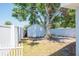 Backyard exterior featuring a large shade tree over a detached shed and a white privacy fence at 489 Fox Run Trl, Apollo Beach, FL 33572
