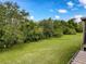 Spacious, tree-lined backyard, view from the screened porch at 507 E Curlew Pl, Tarpon Springs, FL 34689