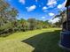 Spacious backyard with green lawn and mature trees at 507 E Curlew Pl, Tarpon Springs, FL 34689