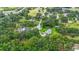 Scenic aerial view of a neighborhood, showcasing lush greenery and mature tree coverage throughout the area at 5933 Carina Trce, Wesley Chapel, FL 33545