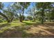 Picturesque backyard features mature trees providing ample shade and natural beauty at 5933 Carina Trce, Wesley Chapel, FL 33545