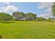 A large backyard with lush green grass and mature trees at 611 Robinson Oaks Ln, Plant City, FL 33567