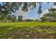 Lush backyard featuring green grass and mature trees offering privacy and space for outdoor activities at 611 Robinson Oaks Ln, Plant City, FL 33567