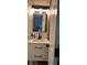 Bathroom featuring a sleek vanity with drawers, modern fixtures, and a lighted mirror at 7152 Sandy Ln, Wesley Chapel, FL 33544