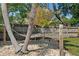 Backyard hammocks between palm trees create a tranquil oasis for relaxation and enjoying the outdoors at 7304 Lakeside Blvd, Tampa, FL 33614