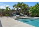 Backyard pool with patio furniture and a well manicured fence line and tropical landscaping at 7304 Lakeside Blvd, Tampa, FL 33614