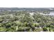 Areal view of a lush neighborhood with houses surrounded by trees near water at 7347 Pulsar St, New Port Richey, FL 34652