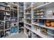 Walk-in pantry with lots of shelving for food storage at 11320 Chilly Water Ct, Riverview, FL 33569