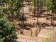 Outdoor horse pen surrounded by tall pine trees, offering both shade and privacy for livestock at 12090 Thames Ave, Weeki Wachee, FL 34614