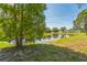 Scenic backyard with mature trees and peaceful water view at 12838 Tallowood Dr, Riverview, FL 33579