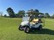 Golf cart with tan seating sitting on grass next to the golf course at 12838 Tallowood Dr, Riverview, FL 33579