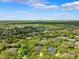 Panoramic aerial view of the community showing lush greenery and the layout of the neighborhood at 16039 Ternglade Dr, Lithia, FL 33547
