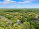 Aerial view of neighborhood showcasing mature trees, well-maintained homes, and beautiful landscaping at 16039 Ternglade Dr, Lithia, FL 33547