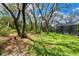 Spacious backyard with mature trees, lush lawn, screened pool enclosure, and a beautiful wooded area at 16039 Ternglade Dr, Lithia, FL 33547