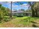 Lush backyard with manicured lawn, mature trees, and private screened-in pool area at 16039 Ternglade Dr, Lithia, FL 33547