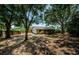 Expansive backyard showcasing mature trees, lush greenery, and a cozy screened-in porch at 1648 Concord St, Dunedin, FL 34698