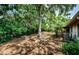 Lush backyard featuring mature trees, an AC unit, and a view of the neighbor's house at 1648 Concord St, Dunedin, FL 34698