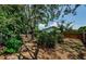 Spacious backyard featuring lush landscaping, mature trees, and a wooden fence at 1648 Concord St, Dunedin, FL 34698
