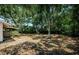 Large backyard with mature trees providing ample shade and a serene view at 1648 Concord St, Dunedin, FL 34698