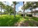Expansive backyard featuring lush green grass and mature palm trees, perfect for outdoor enjoyment at 18518 Bittern Ave, Lutz, FL 33558