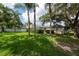 Spacious backyard featuring mature palm trees, lush grass, and a glimpse of the screened-in pool area, ideal for outdoor living at 18518 Bittern Ave, Lutz, FL 33558
