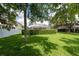 Beautifully landscaped backyard with lush green lawn, privacy hedge, and a peek at the screened-in pool area for outdoor enjoyment at 18518 Bittern Ave, Lutz, FL 33558