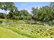 Scenic pond filled with lily pads and lush greenery, creating a tranquil and picturesque setting at 2174 62Nd N St, Clearwater, FL 33760