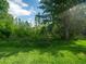 Lush backyard with vibrant green grass and mature trees, offering a serene outdoor space at 31201 Shaker Cir, Wesley Chapel, FL 33543