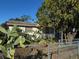 A single story home with a small porch partially obscured by a large tree and chain link fence at 3311 W Saint Conrad St, Tampa, FL 33607