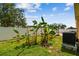 Landscaped backyard featuring a vibrant lawn, banana trees and a basketball hoop at 4400 Helena Ne St, St Petersburg, FL 33703