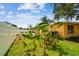 The backyard has beautiful banana trees and has a basketball hoop for playing at 4400 Helena Ne St, St Petersburg, FL 33703