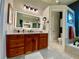 Well-lit bathroom with wood cabinets, dual sinks, and a separate room for the toilet at 4808 Jewell Ter, Palm Harbor, FL 34685