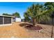 Expansive backyard featuring a mature palm tree, gravel, and a storage shed at 4842 Odyssey Ave, Holiday, FL 34690