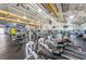 Modern fitness center featuring treadmills, elliptical machines, weight machines, and free weights at 801 Oakmont Ave, Sun City Center, FL 33573