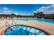 Resort-style pool area featuring a large pool, hot tub, and plenty of seating for relaxing and soaking up the sun at 801 Oakmont Ave, Sun City Center, FL 33573