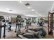 Community gym featuring modern cardio equipment and plenty of room for a complete workout at 10356 Carrollwood Ln # 204, Tampa, FL 33618