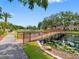 Scenic bridge over a tranquil pond with lush greenery, enhancing the community's peaceful ambiance at 10356 Carrollwood Ln # 204, Tampa, FL 33618