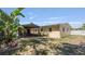 Backyard view of home with covered patio for outdoor relaxation and entertainment at 10912 N 61St St, Temple Terrace, FL 33617