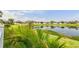 Scenic backyard view with a tranquil pond and lush green space in a peaceful residential neighborhood at 13118 Rain Lily Dr, Riverview, FL 33579