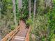 Wooden boardwalk winding through lush greenery, inviting residents to enjoy a scenic nature walk at 15135 Azra Dr, Odessa, FL 33556