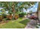 Backyard with a large tree offering shade, lush greenery, and a glimpse of the home's exterior at 1524 Essex N Dr, St Petersburg, FL 33710