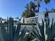 The Valencia Del Sol entrance sign is surrounded by lush greenery and palm trees under a clear blue sky at 15528 Corona Del Mar Dr, Wimauma, FL 33598