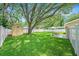 A large backyard with lush green lawn, shady trees, white vinyl fence, patio set, and storage shed at 3072 Sugar Bear Trl, Palm Harbor, FL 34684