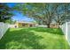 Private backyard featuring lush lawn, mature trees, shed, and a white fence at 3072 Sugar Bear Trl, Palm Harbor, FL 34684