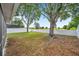 Spacious backyard featuring lush greenery, mature trees, and a well-maintained fence, offering privacy and natural beauty at 3230 Bellericay Ln, Land O Lakes, FL 34638