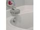 Close-up of a white bathtub with chrome fixtures and a cute whale faucet cover at 3230 Bellericay Ln, Land O Lakes, FL 34638
