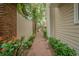 Charming brick pathway lined with vibrant greenery, leading to a secure gate with a palm tree beyond at 350 2Nd N St # 1, St Petersburg, FL 33701