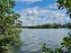 Picturesque water view framed by lush greenery, showcasing the serene waterfront scenery under a blue sky at 3701 Manatee Se Dr, St Petersburg, FL 33705