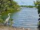 Scenic view of a great blue heron at the water's edge by a waterfront with boats at 3701 Manatee Se Dr, St Petersburg, FL 33705